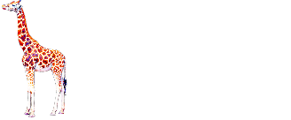 Giraffe — Элитное экскорт-агентство в Москве